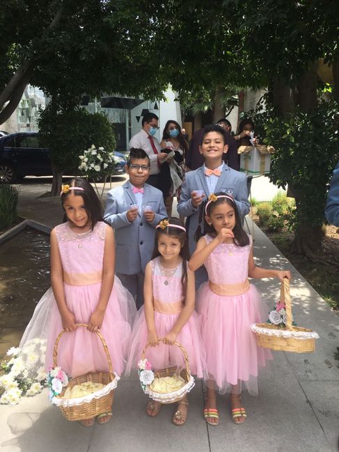 Pajecitas en color rosa - 1