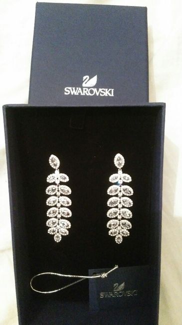 Mis aretes! - 1