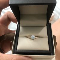 Martes con “m” de ¡muéstrenme sus anillos! - 3