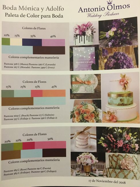  Paleta de colores elegida - 1
