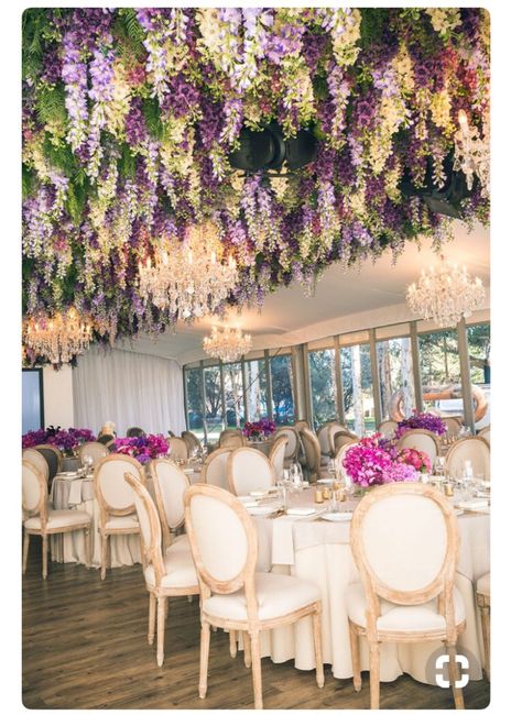 Quiero un arreglo aéreo!!! 3