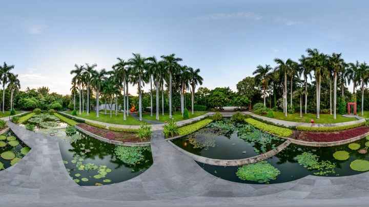 Jardín botánico 