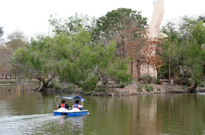 Parque Ernesto Millán (parque 87)