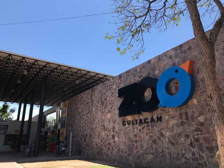 Zoologico