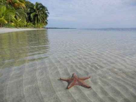 panama y crucero