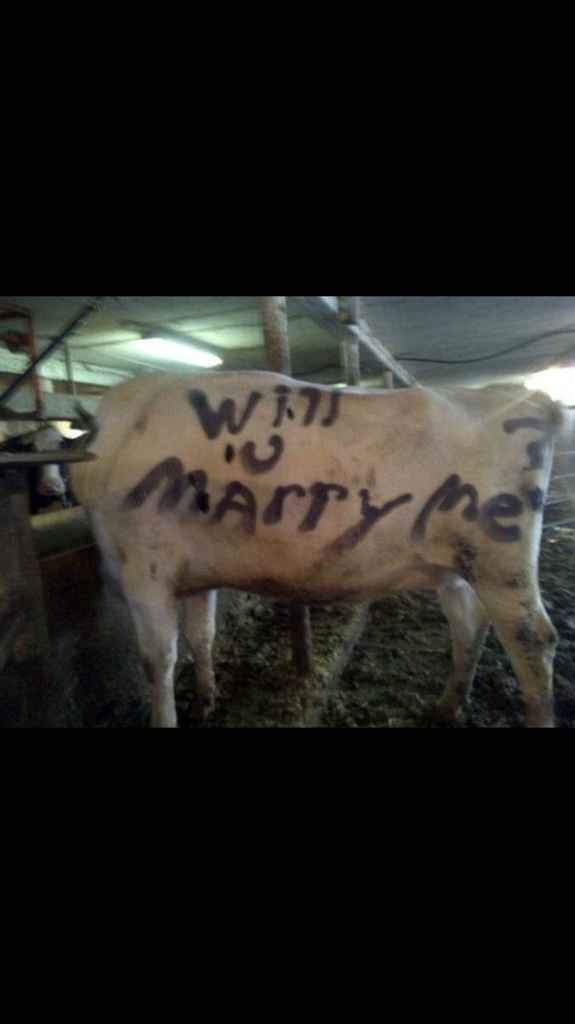 Las peores propuestas de matrimonio - 3