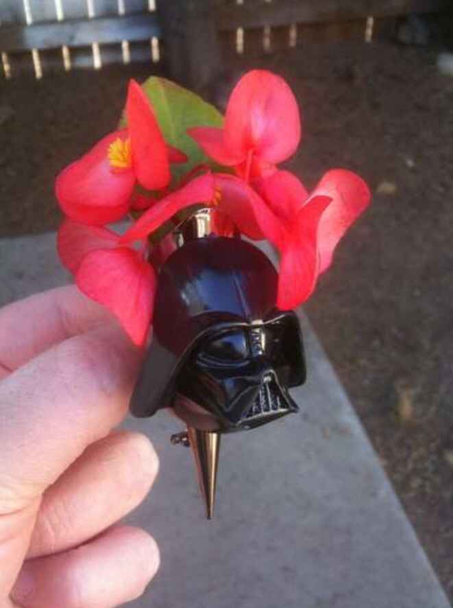 Ayudaaa mi novio quiere boda de starwars!!!!!! - 13
