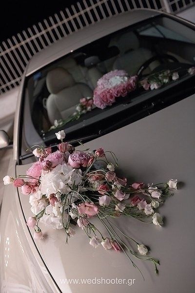 car 6
