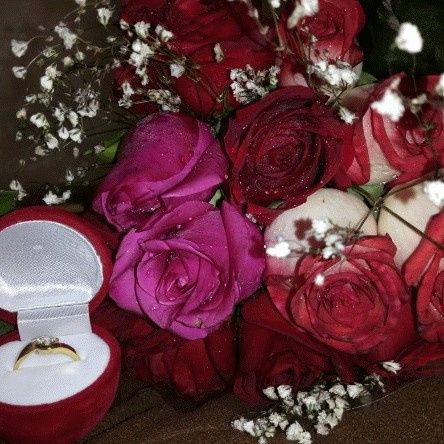 Mi sorpresa Romática Nínive y Alan 1