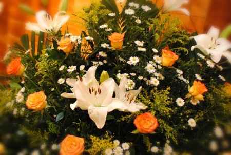 Flores