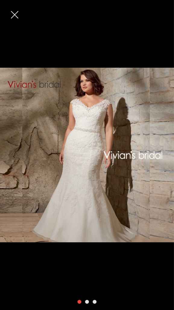 Mangas de encaje - 1