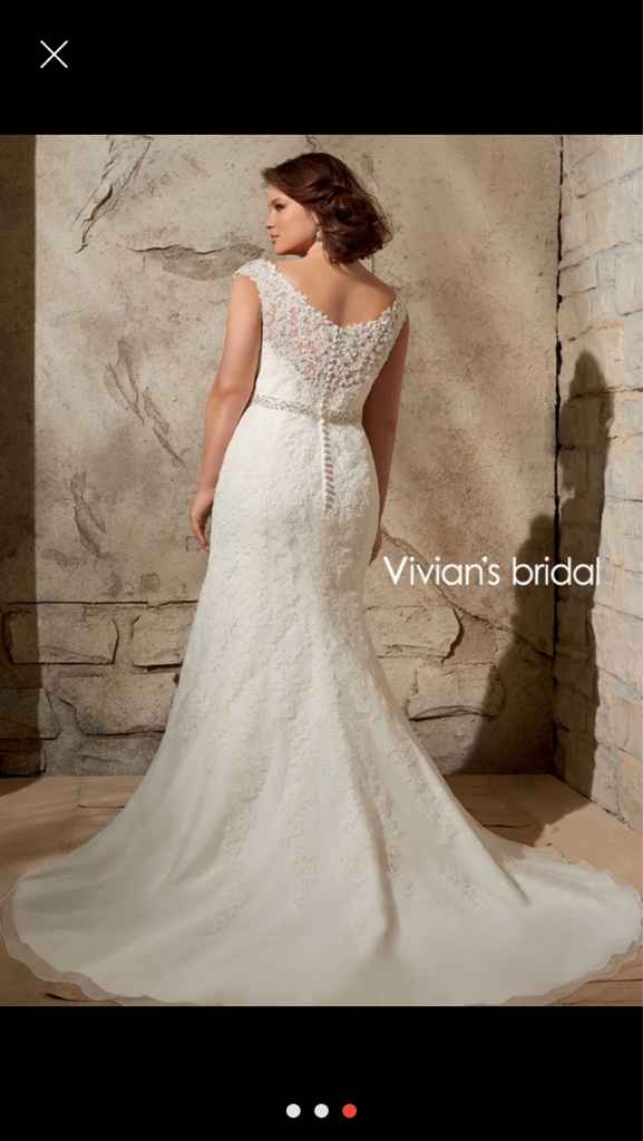 Mangas de encaje - 2