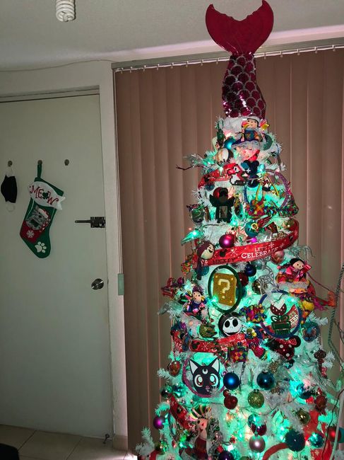 ¿Les gusta la navidad o son una pareja Grinch? 1