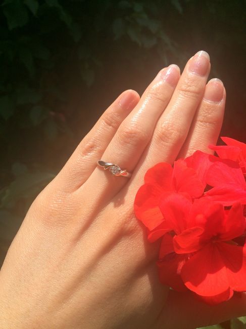 Anillos pequeños - 1