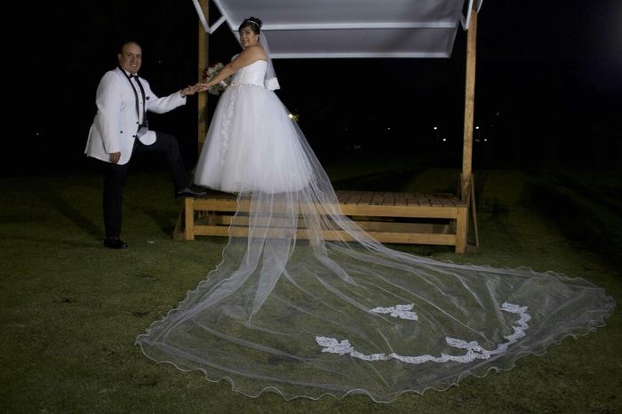 Alguien sabe de un velo así?🤷🏻‍♀️ - 1