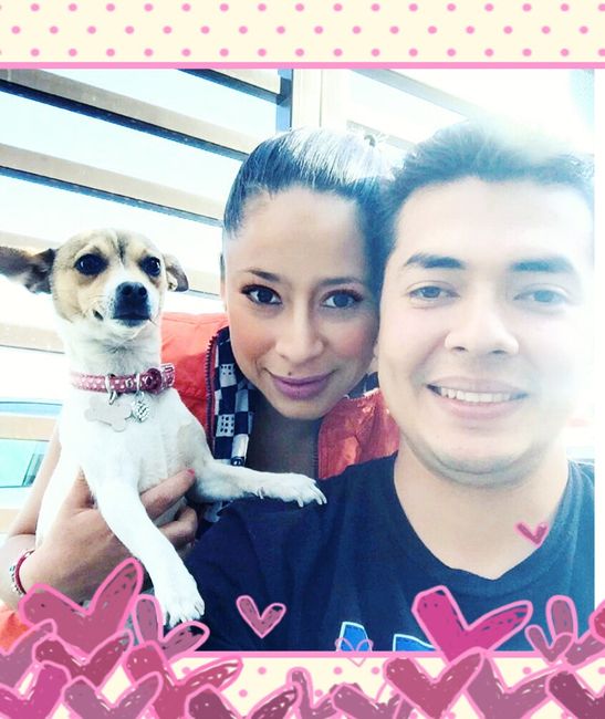 Ustedes ya tiene mascota para su futuro o ya hogar?? - 1