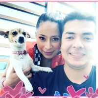 Ustedes ya tiene mascota para su futuro o ya hogar?? - 1