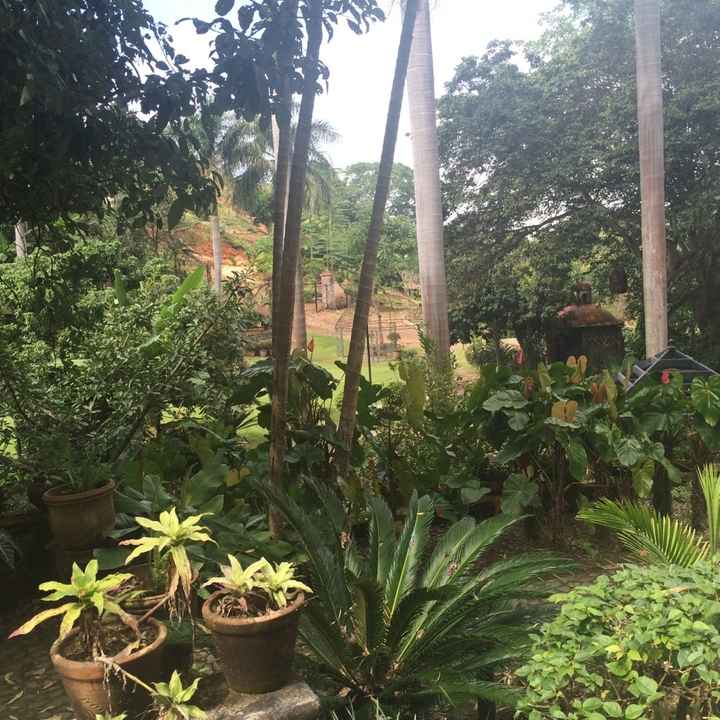 El jardín de nuestra boda... se los presento! - 1
