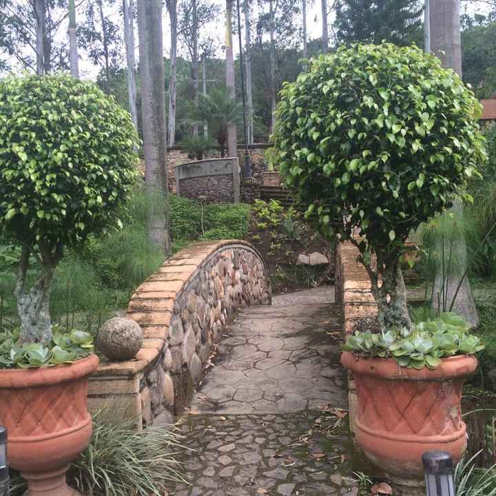 El jardín de nuestra boda... se los presento! - 2