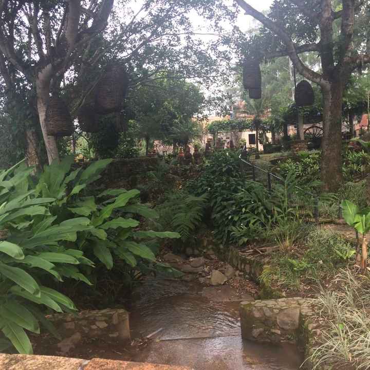 El jardín de nuestra boda... se los presento! - 3