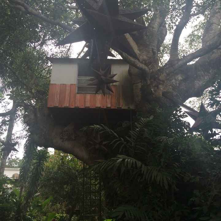 El jardín de nuestra boda... se los presento! - 5