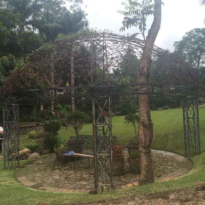 El jardín de nuestra boda... se los presento! - 6