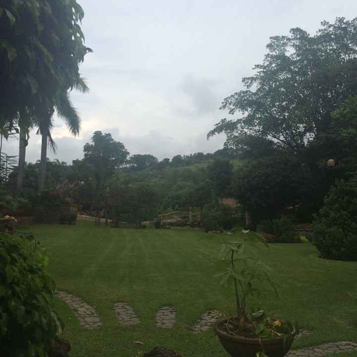 El jardín de nuestra boda... se los presento! - 9