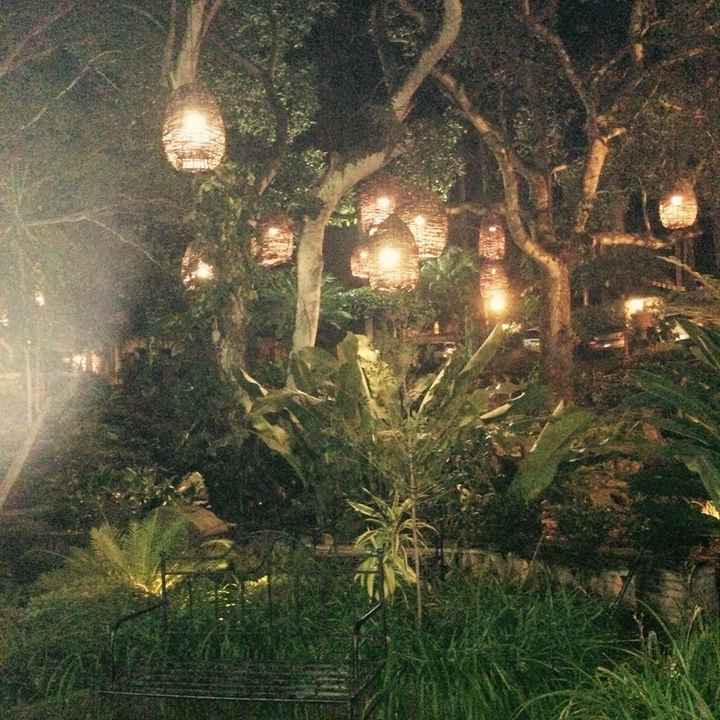 El jardín de nuestra boda... se los presento! - 10