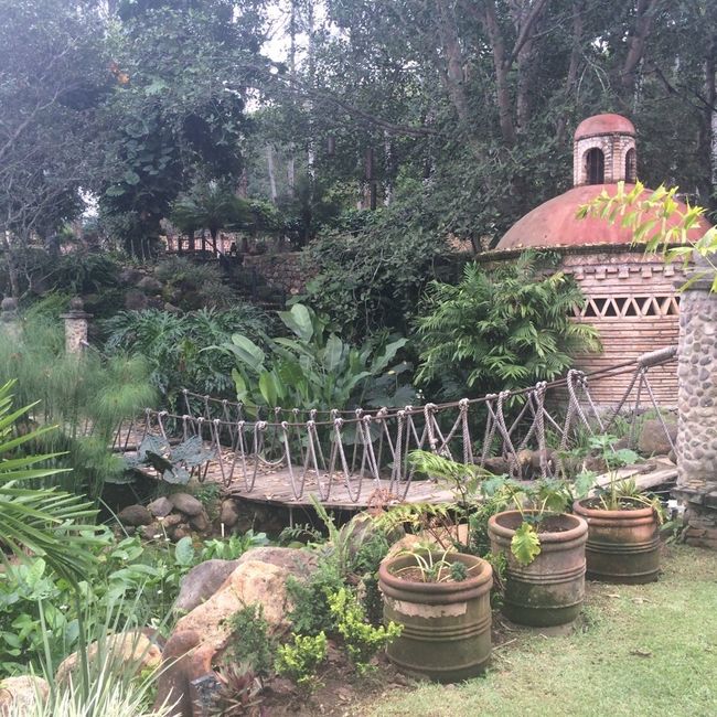 El jardín de nuestra boda... se los presento! - 4