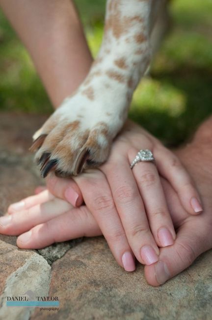  10 ideas para fotos a tu anillo de compromiso 💍 - 24