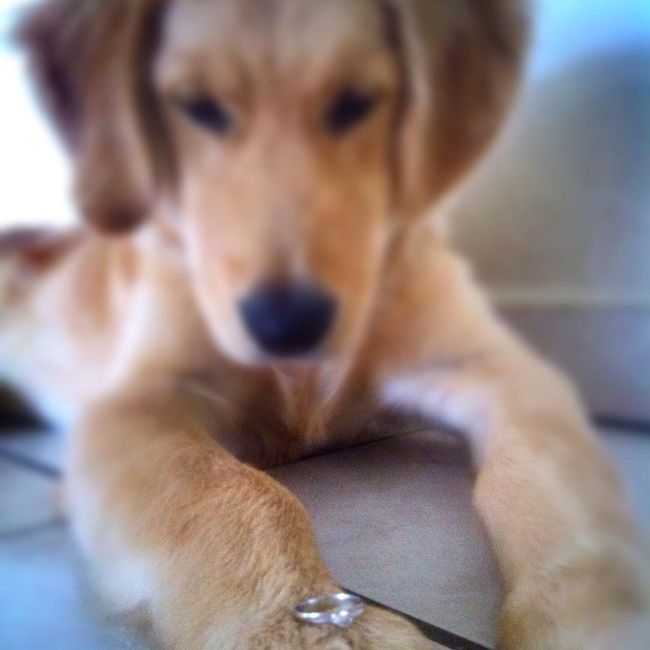  a presumir la Roca!!! 💍 - 2