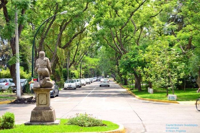 6 lugares para realizar tu sesión de fotos en Guadalajara 8