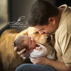 Mi perro en las fotos de la boda - 1