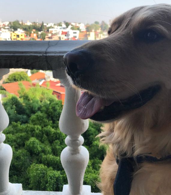 Mi 🎁de 4 meses de casados - 1