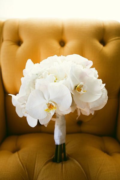 Orquídeas en tu ramo, ¿cuál tendrías? - 1