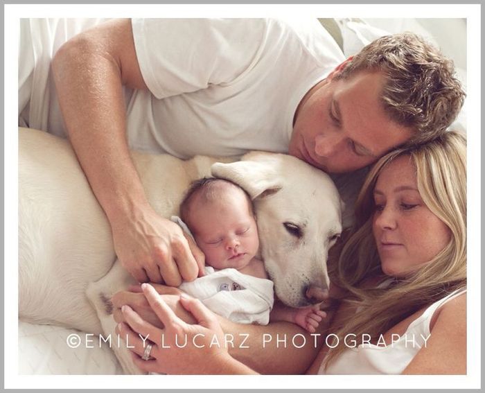 Save the date 👱‍♂️ + 👩🏻 + 👶🏻 + 🐶 1