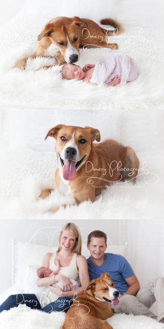 Save the date 👱‍♂️ + 👩🏻 + 👶🏻 + 🐶 3