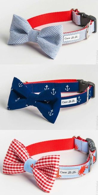 Mi boda revolucionaria 5