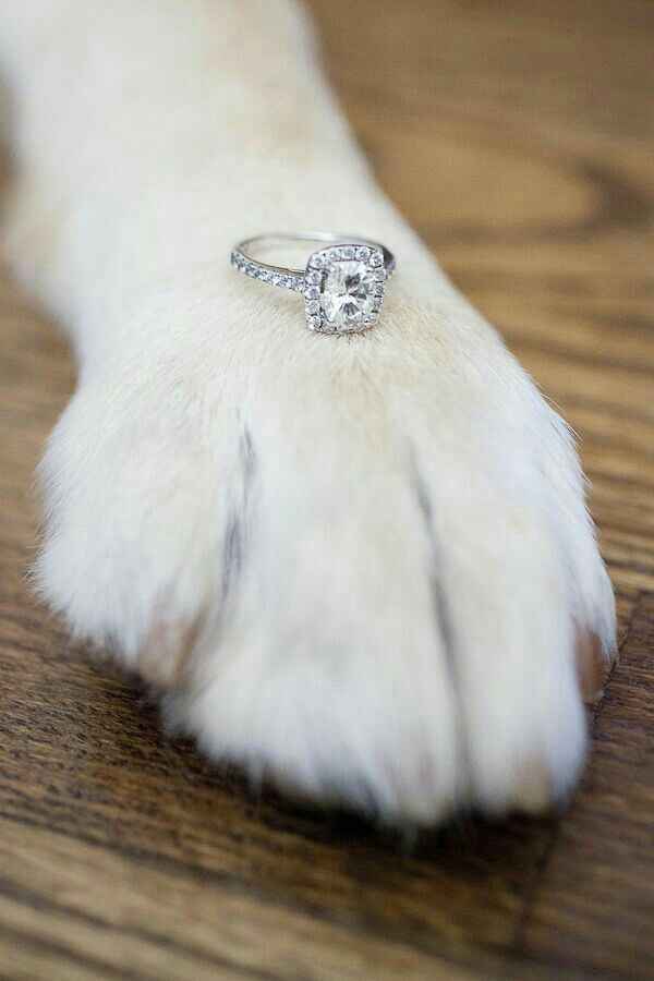  Wedding shoot: Perrhijos - 2