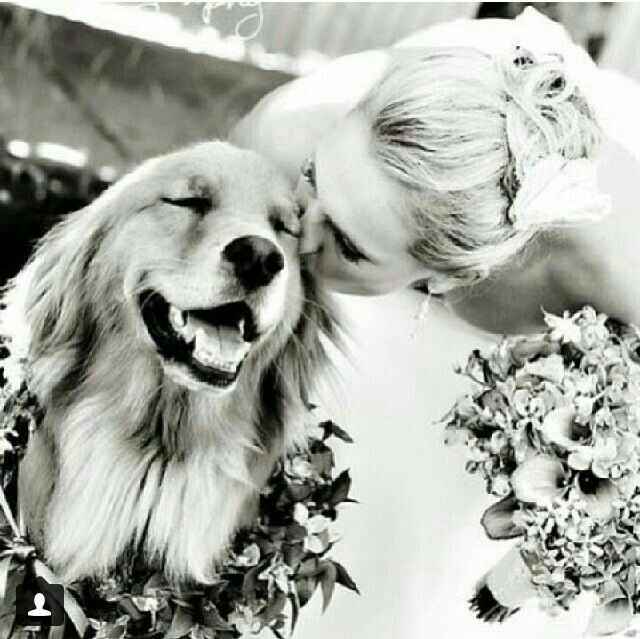  Wedding shoot: Perrhijos - 4