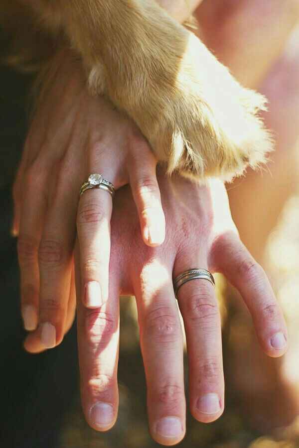  Wedding shoot: Perrhijos - 7