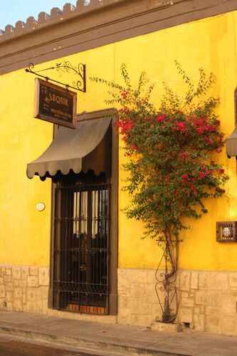 6 lugares para realizar tu sesión de fotos en Guadalajara - 15