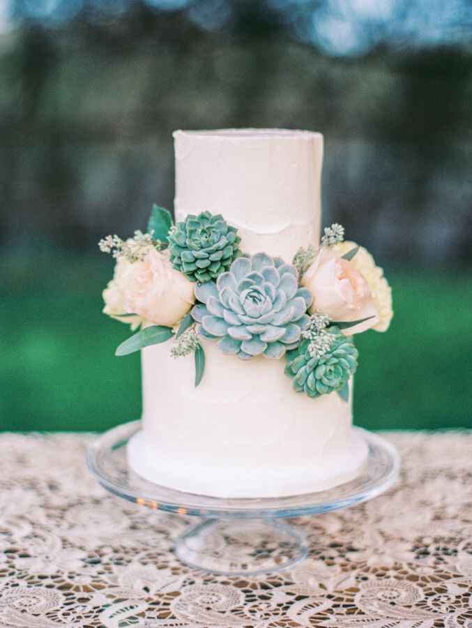 15 pasteles con suculentas - 1