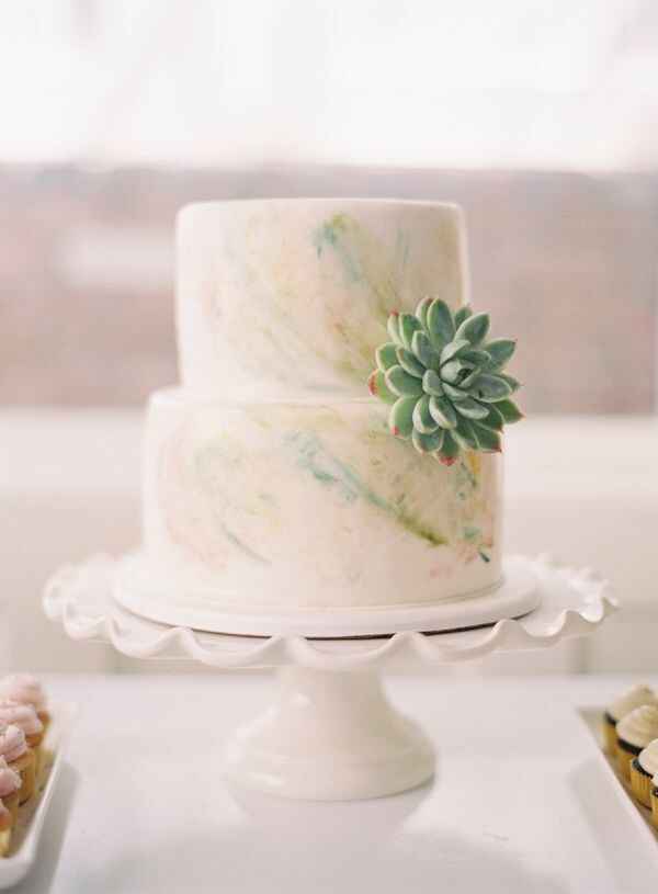 15 pasteles con suculentas - 4