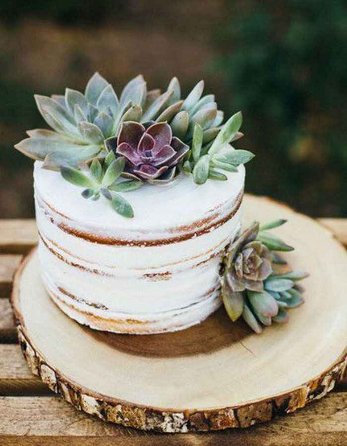 15 pasteles con suculentas - 11