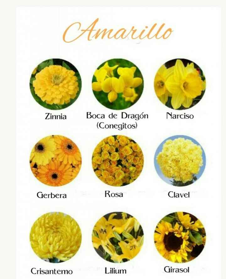 Catálogo de flores por colores - 6