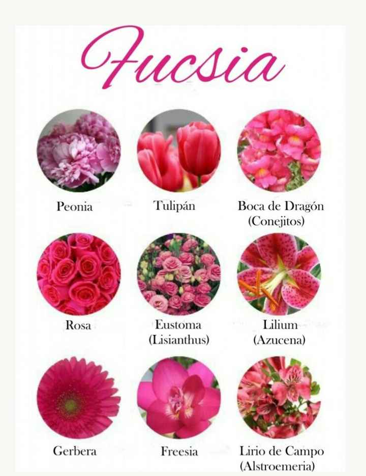 Catálogo de flores por colores - 9