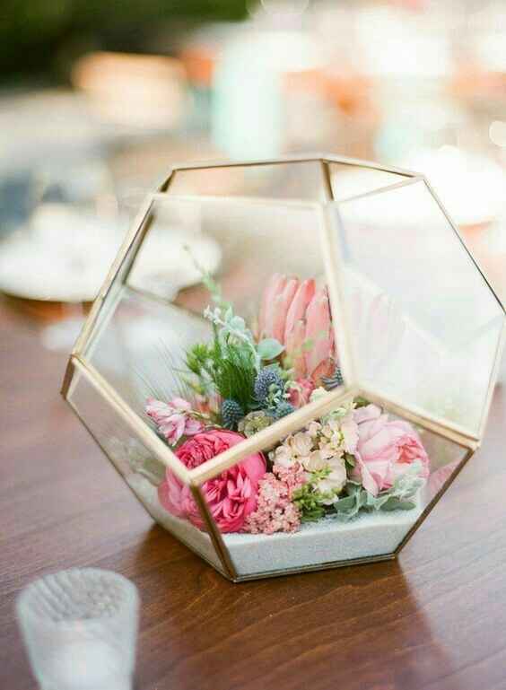 Terrarium - 2