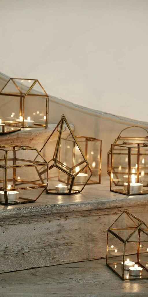 Terrarium - 5