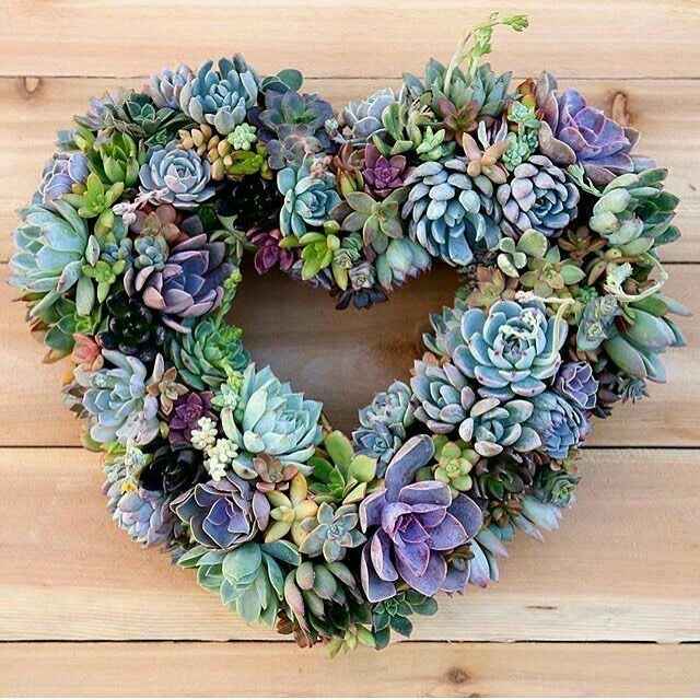Ideas con suculentas 🌸 - 6
